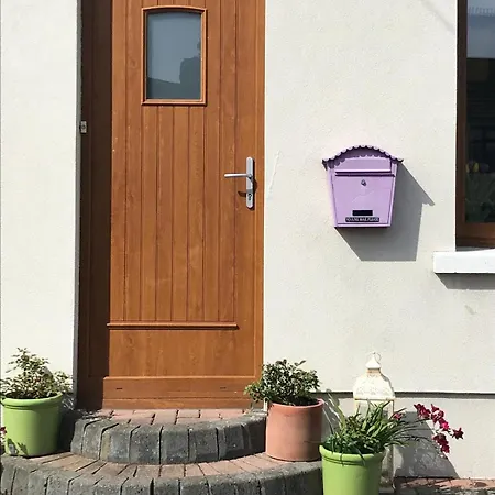 Spacious 3 Bed Townhouse In 12 * ダブリン