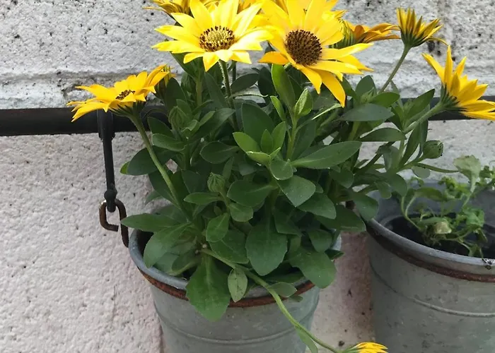 Spacious 3 Bed Townhouse In 12 * Dublin