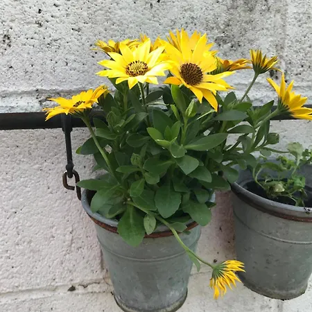 Spacious 3 Bed Townhouse In 12 * Dublin